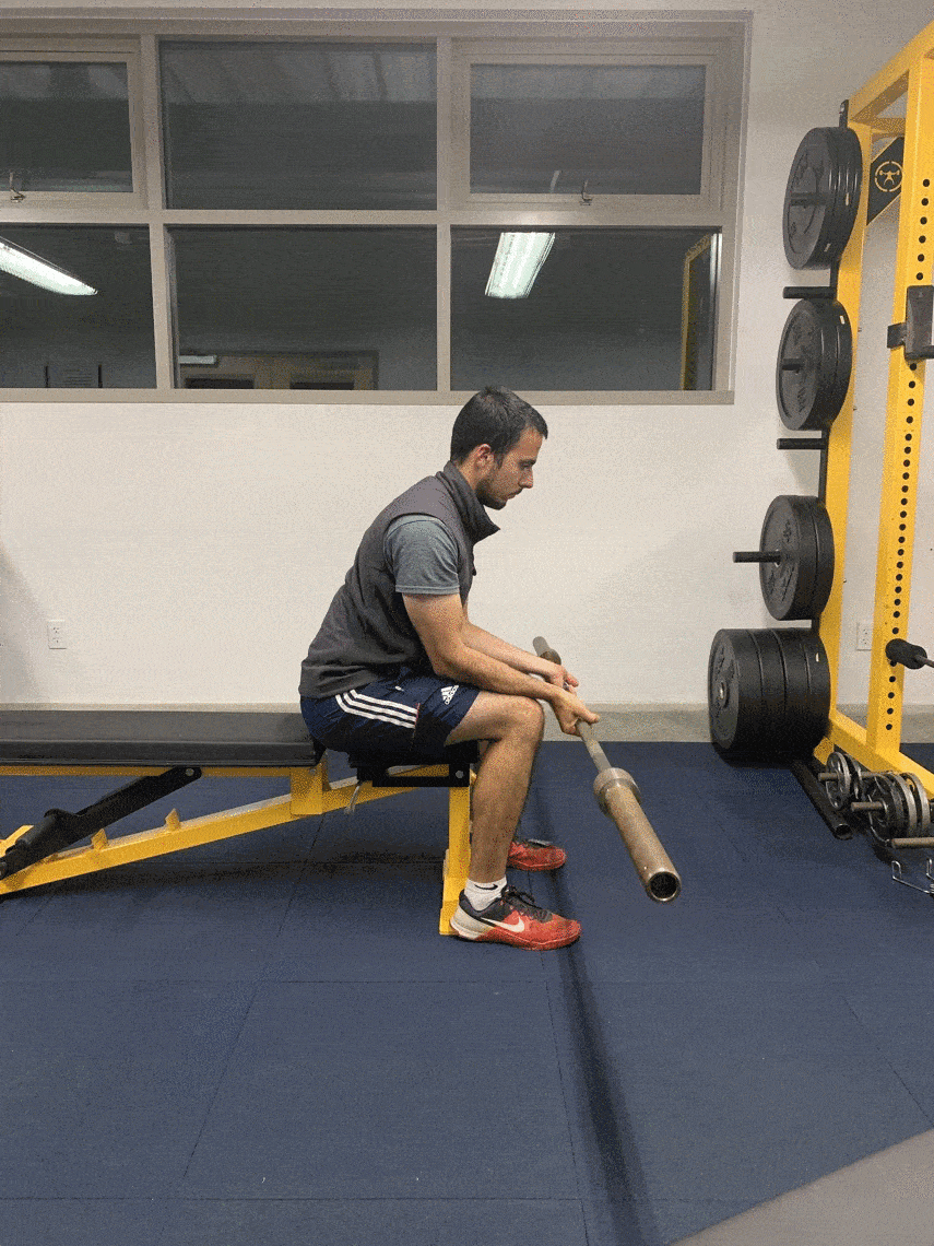 recurve archer doing wrist curls with barbell