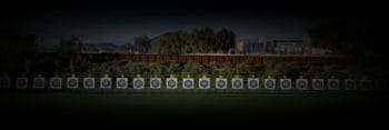 online archery academy homepage background