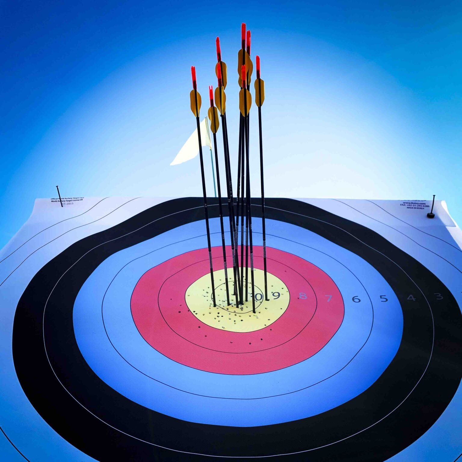 olympic archery coaching online